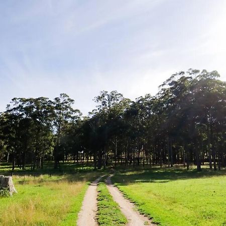 Wingfield Cabin Villa Tenterfield Exterior photo