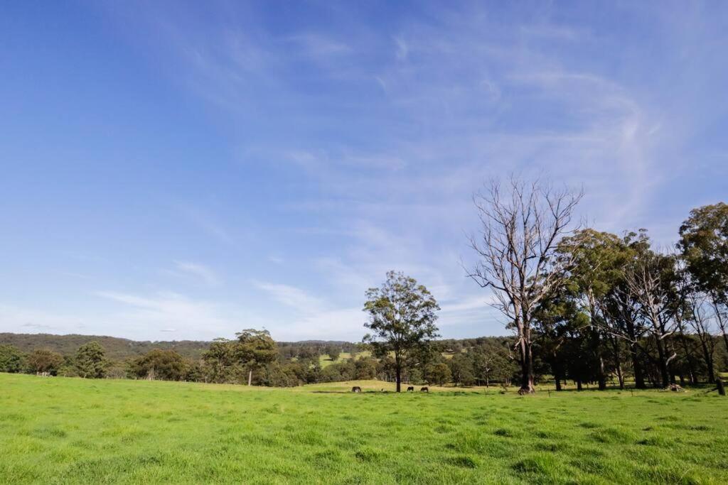 Wingfield Cabin Villa Tenterfield Exterior photo